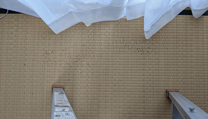 エアコンの送風ファンから落ちたホコリです。